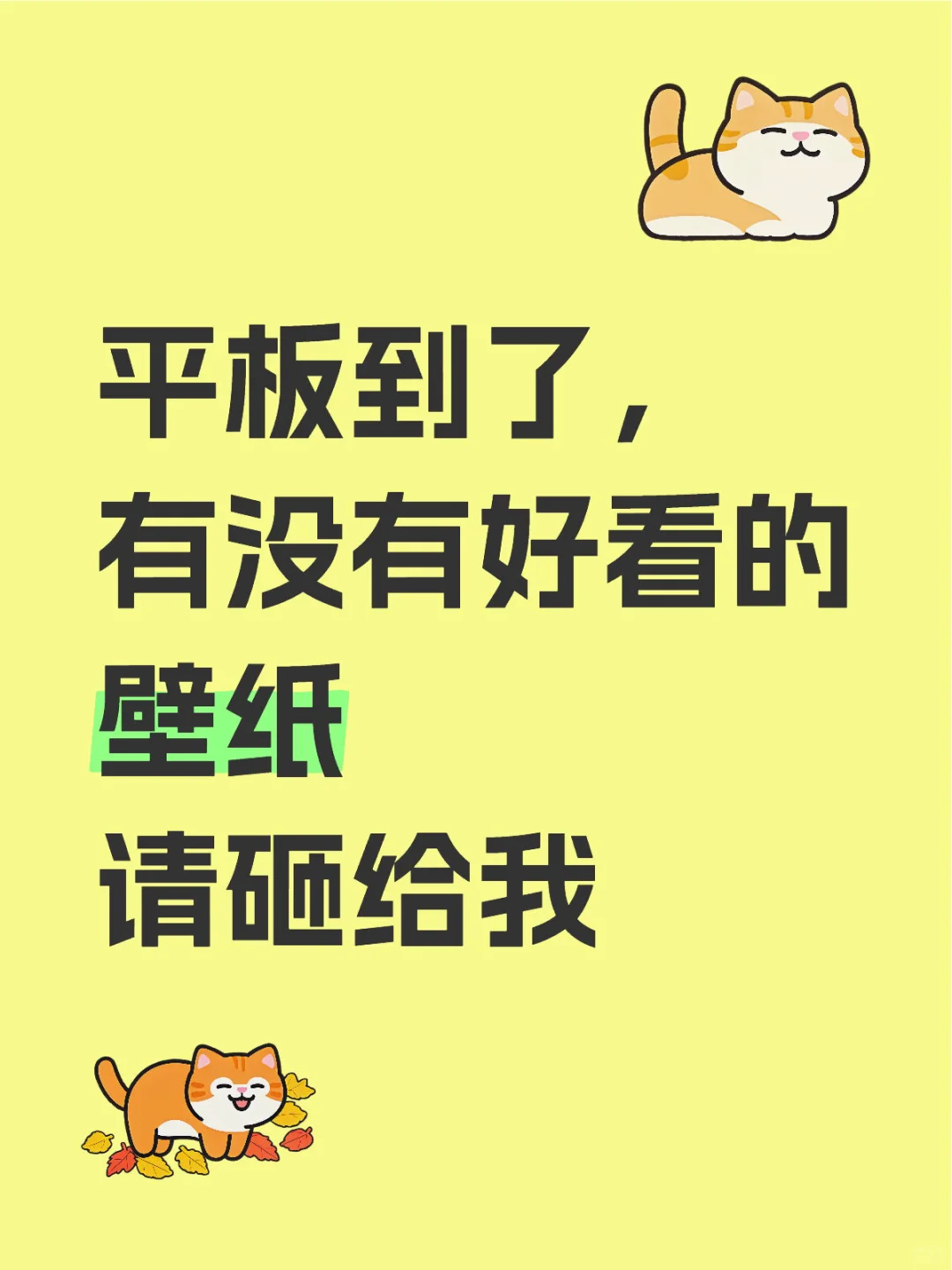 让我看看你们的平板壁纸！