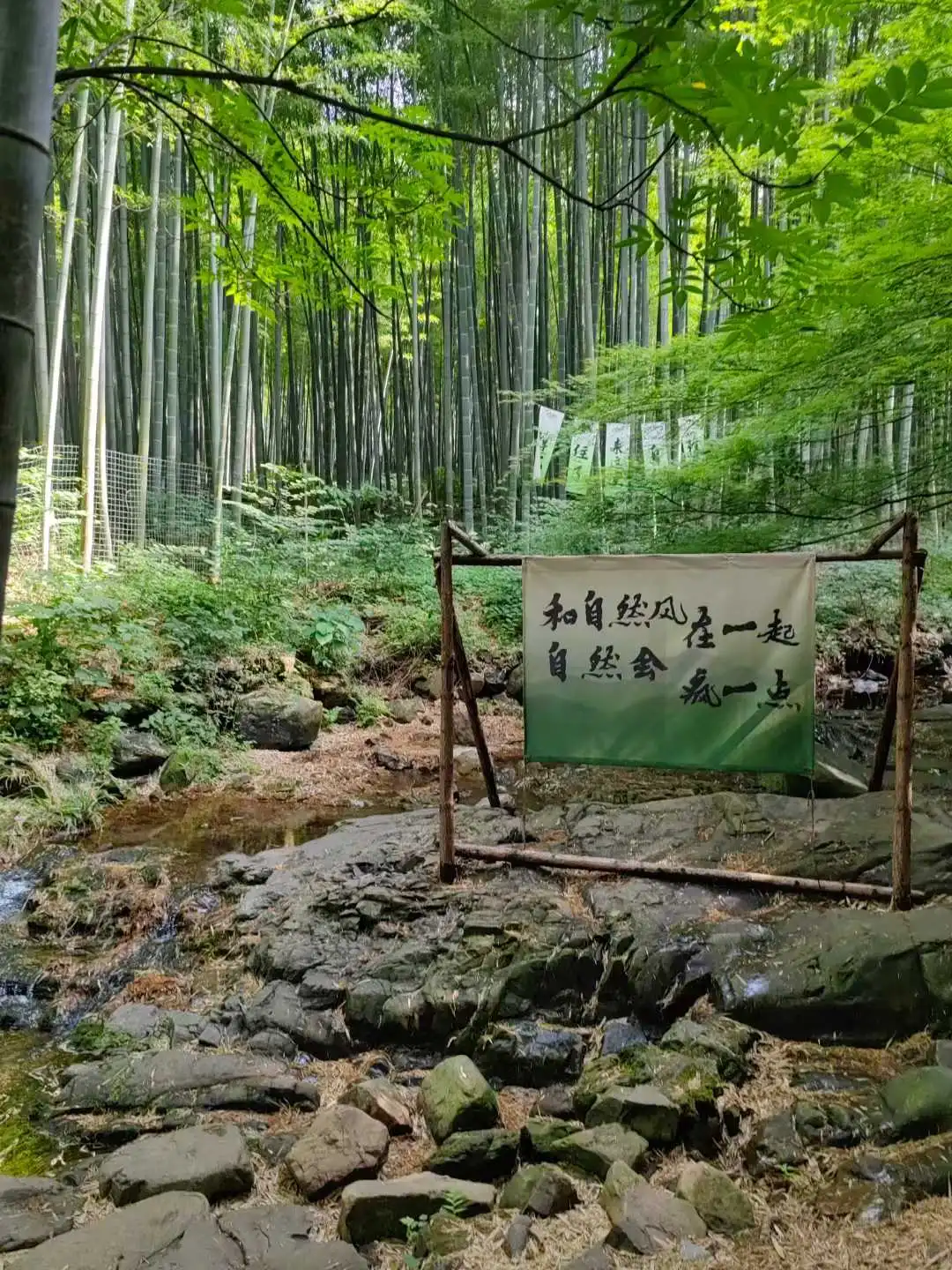 少与人纠缠 享受大自然