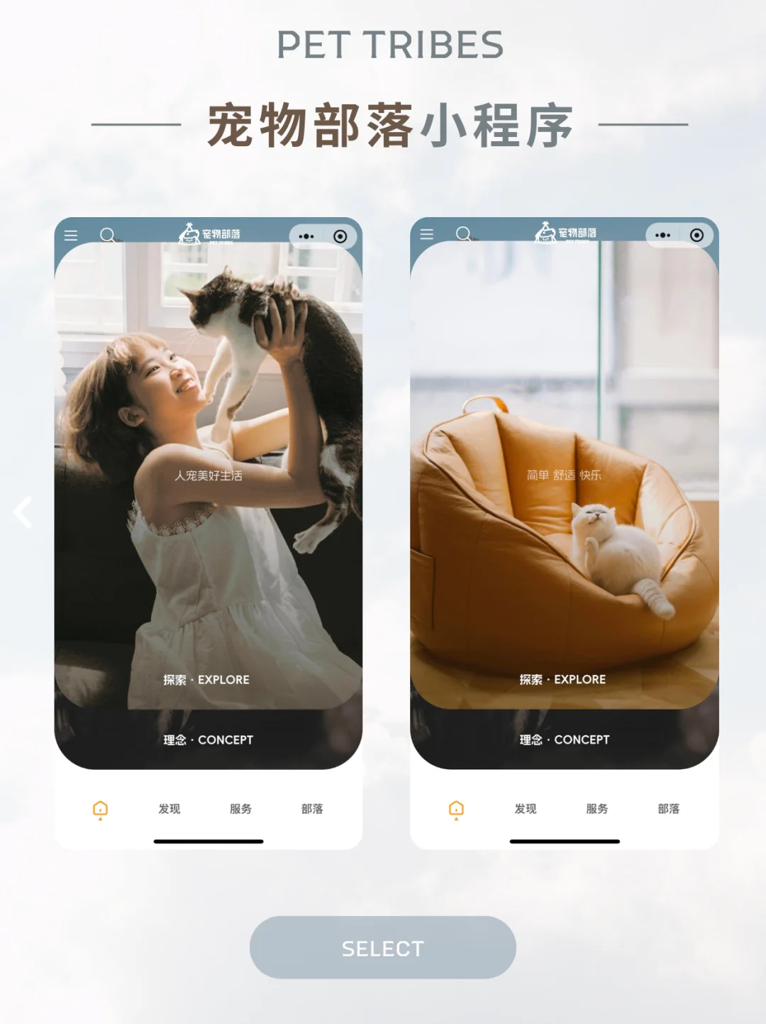 宠物小程序｜界面美得像给毛孩拍的写真！