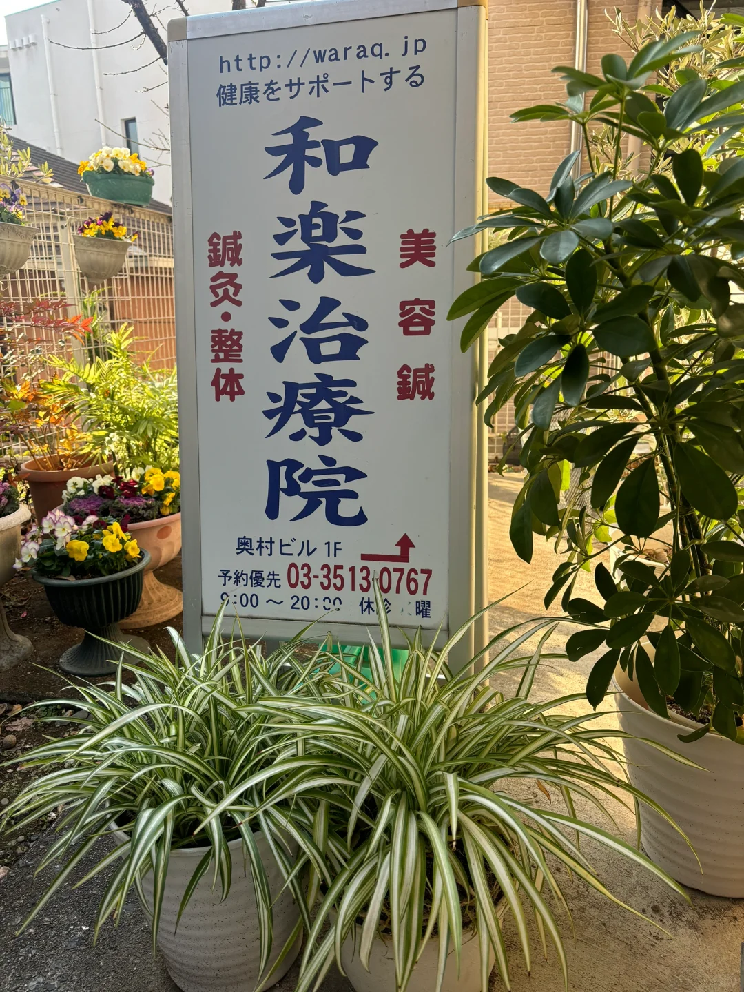 日本超级超级优秀的针灸院在这里！