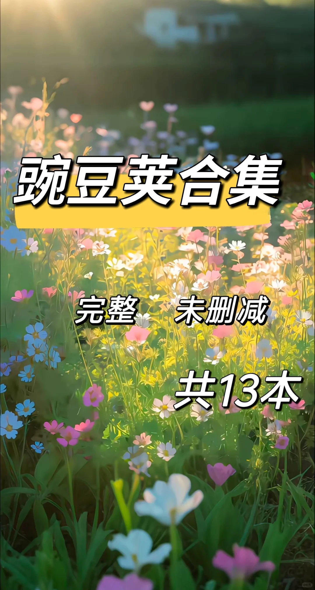 赞❗❗