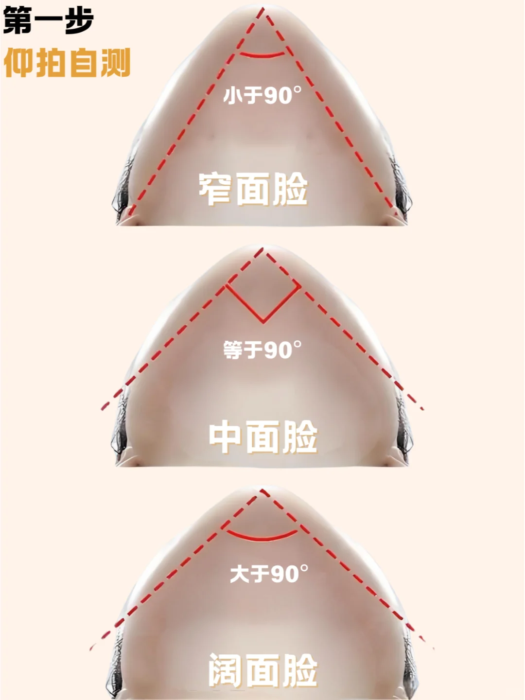 阔面脸vs窄面脸，自测一下.......
