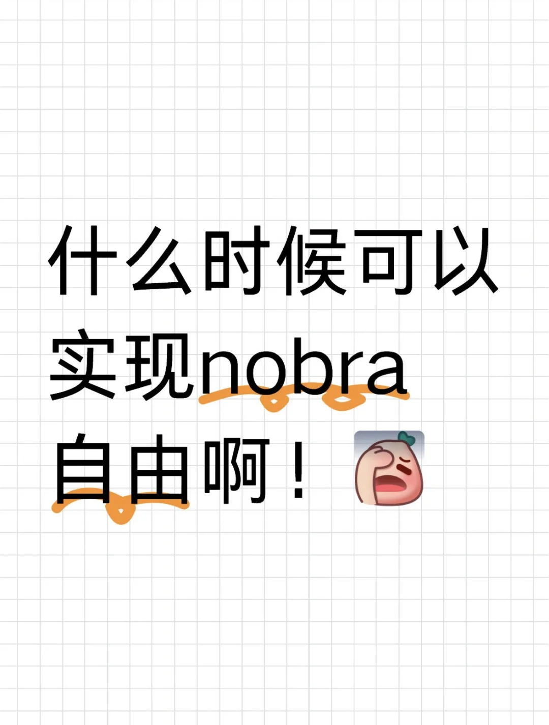 什么时候可以实现nobra自由