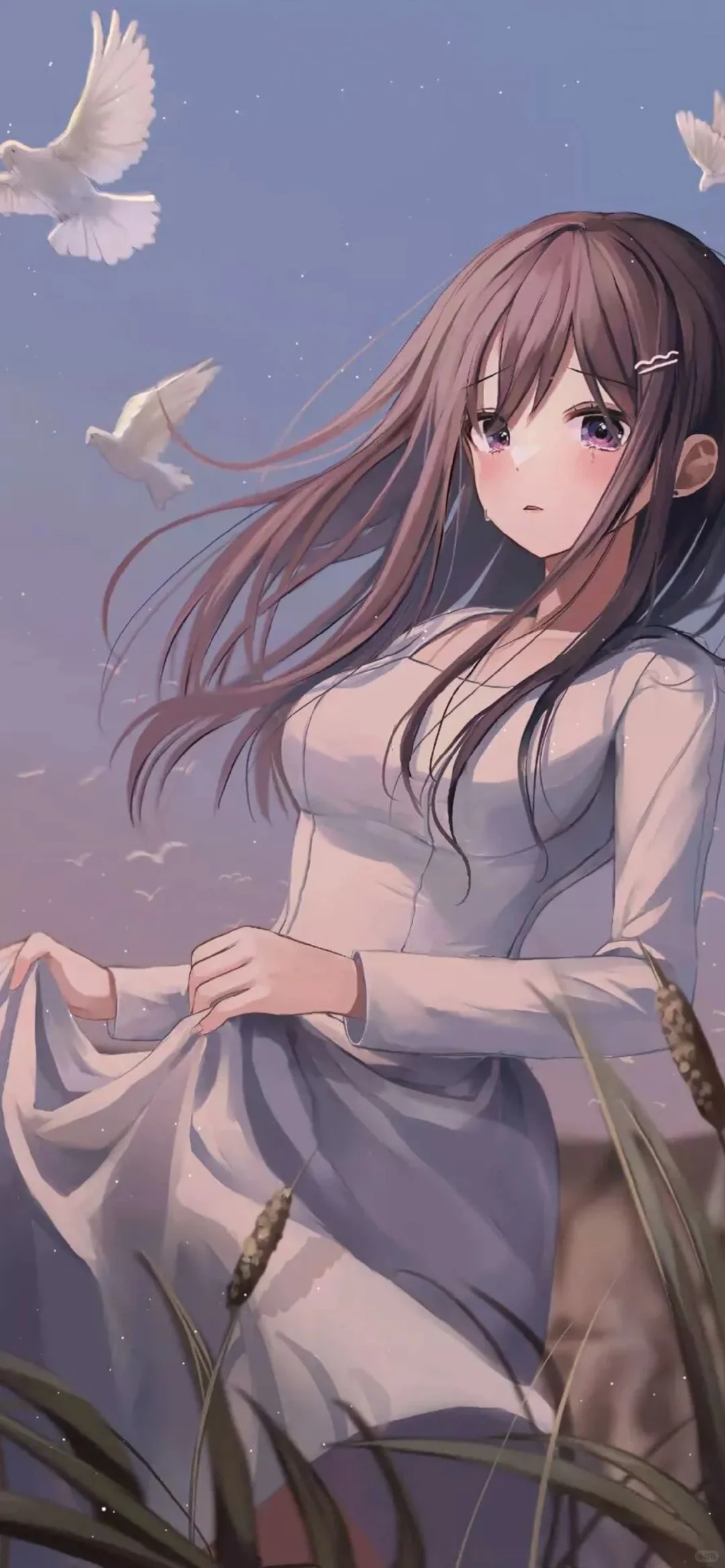 这……有点好看耶（萝莉壁纸）