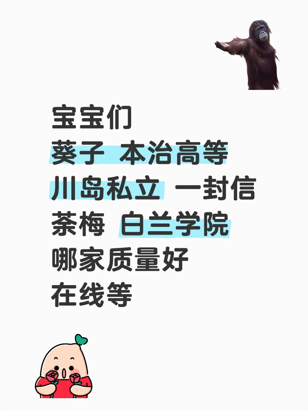 月底了只能买一条😭