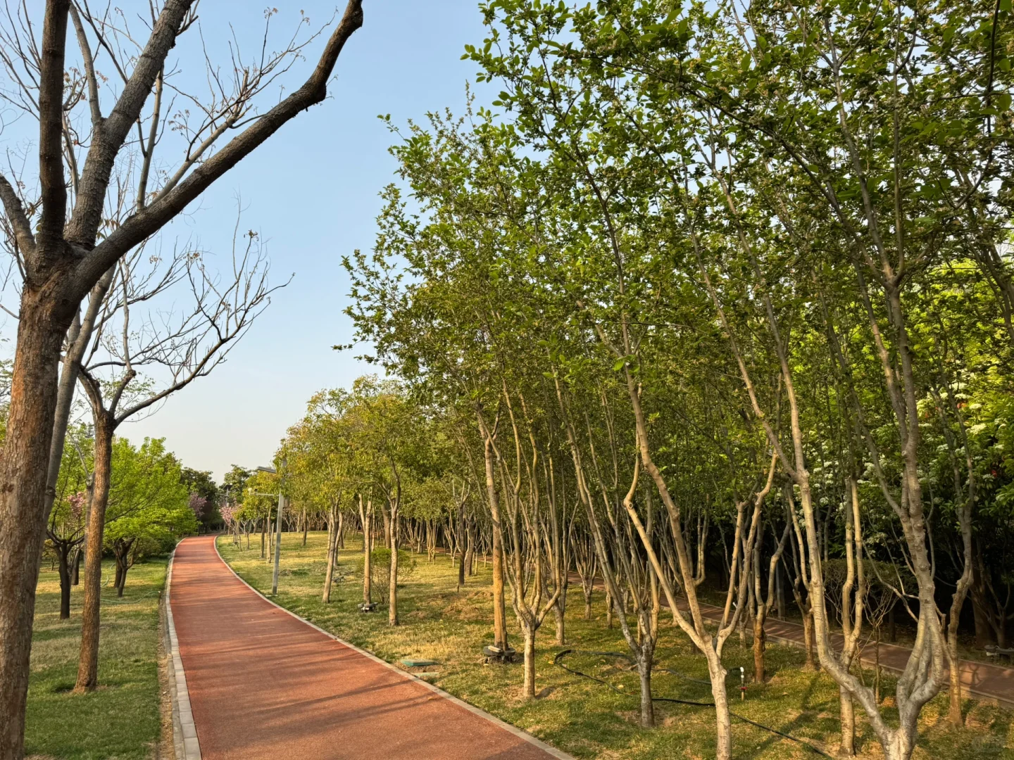 #跑步##坚持运动打卡#今天的晨跑完美收官，5