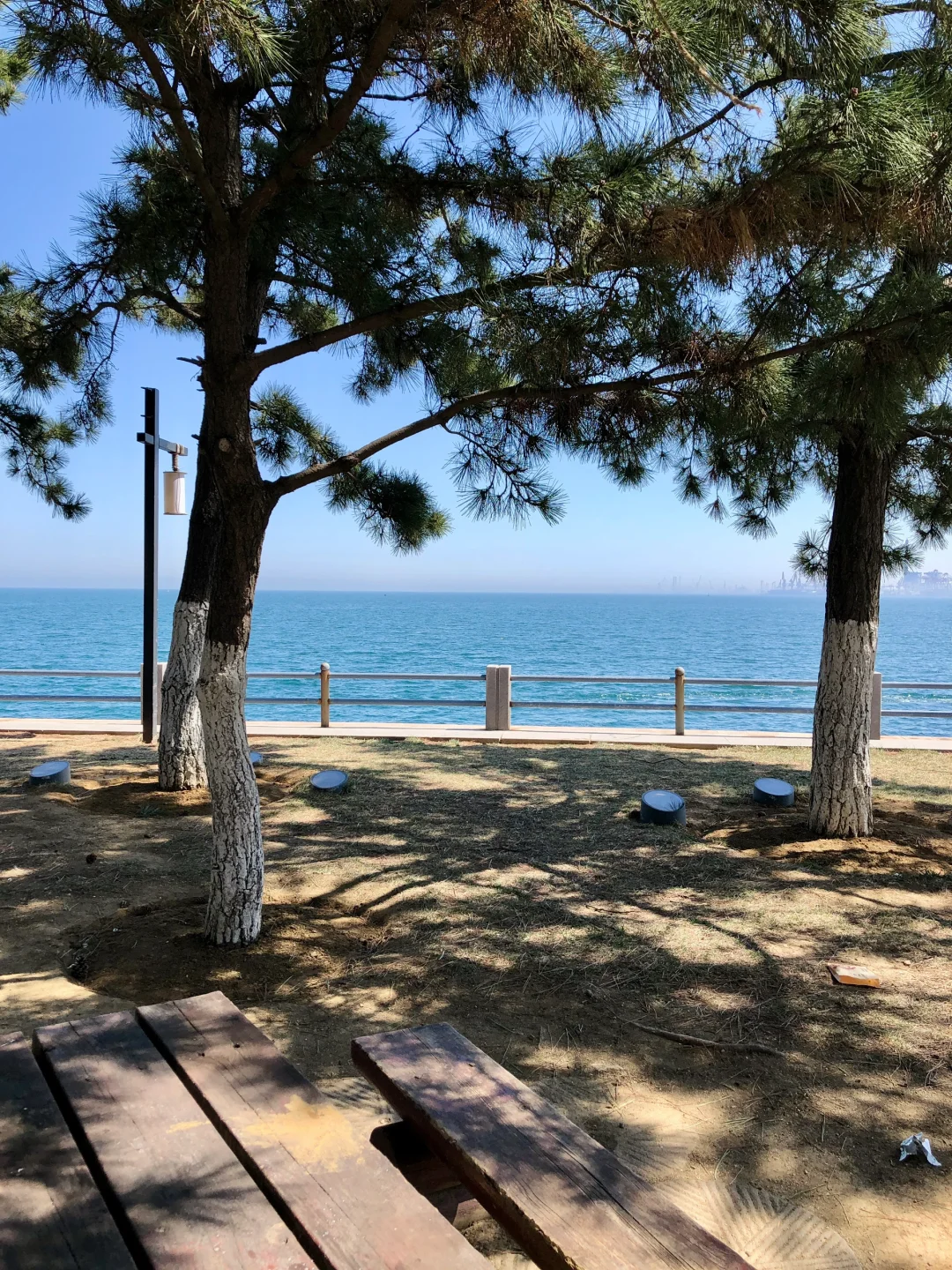 ⛱️☀️🐠一个人的威海