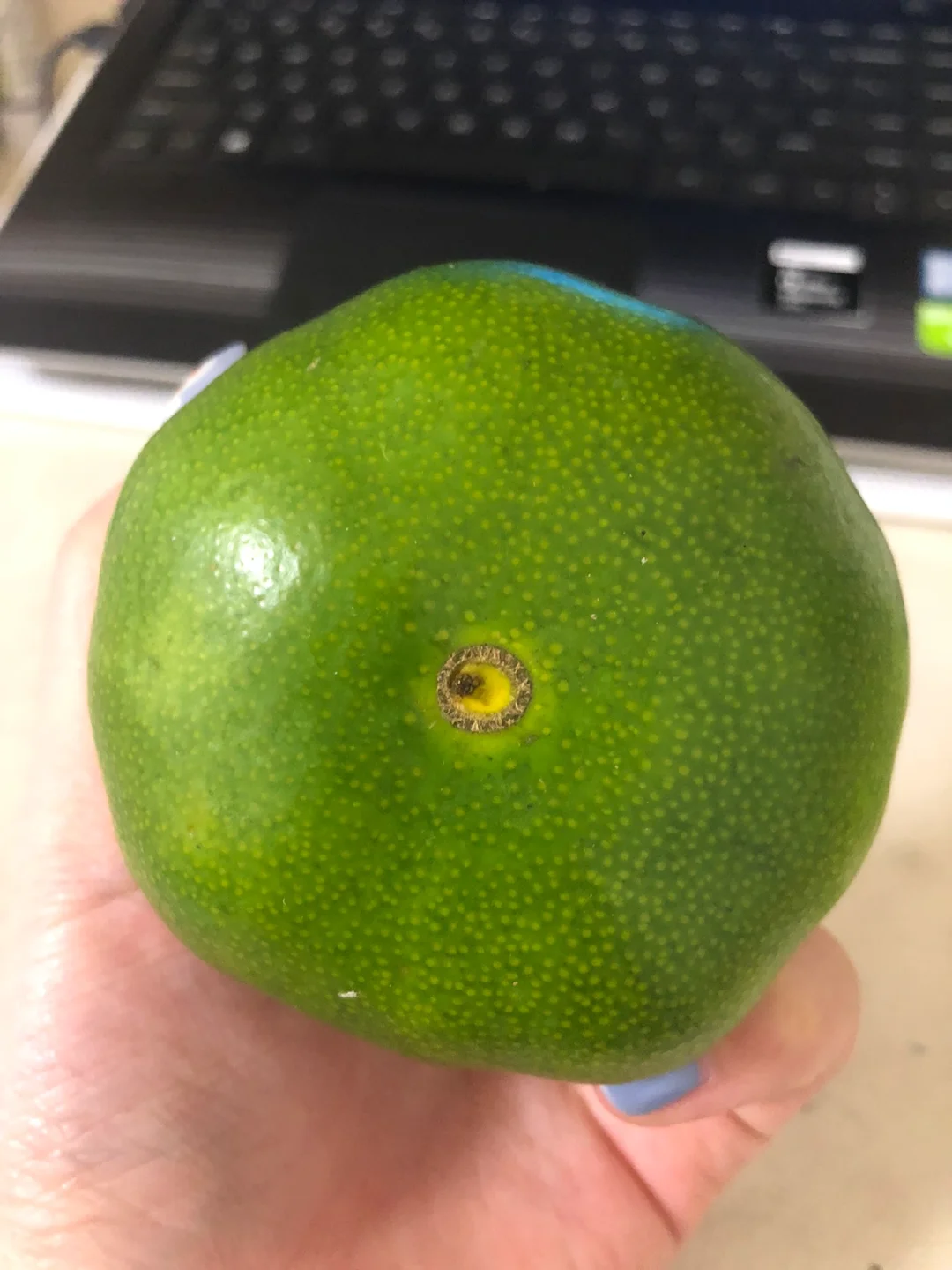 金玉其外