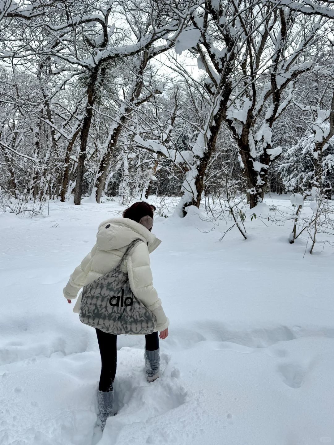 不输北海道的长野雪景❄️打卡户隐神社⛩️