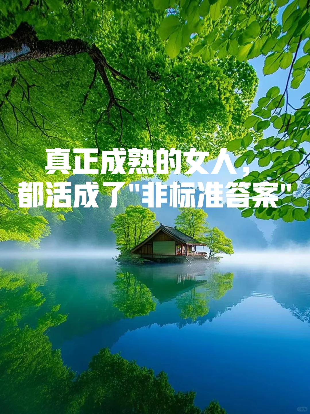 真正成熟的女人，都活成了"非标准答案