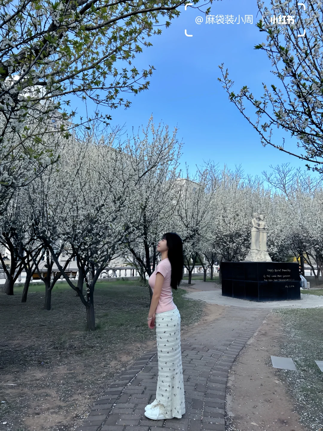学校的花季🌸