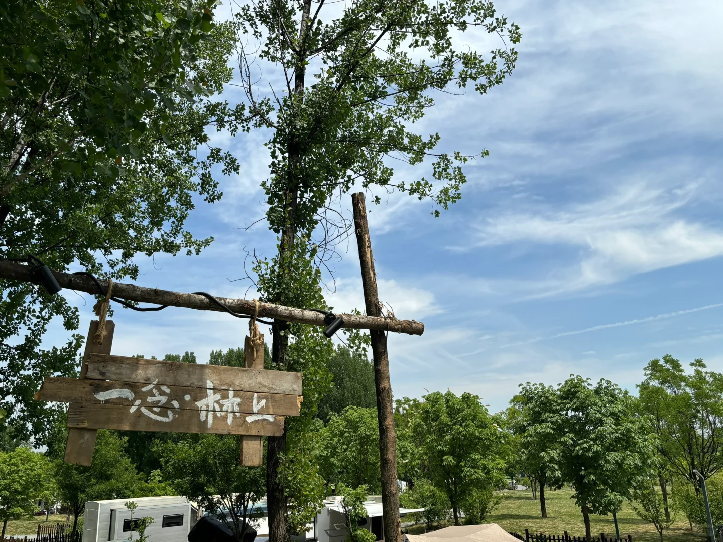去林间