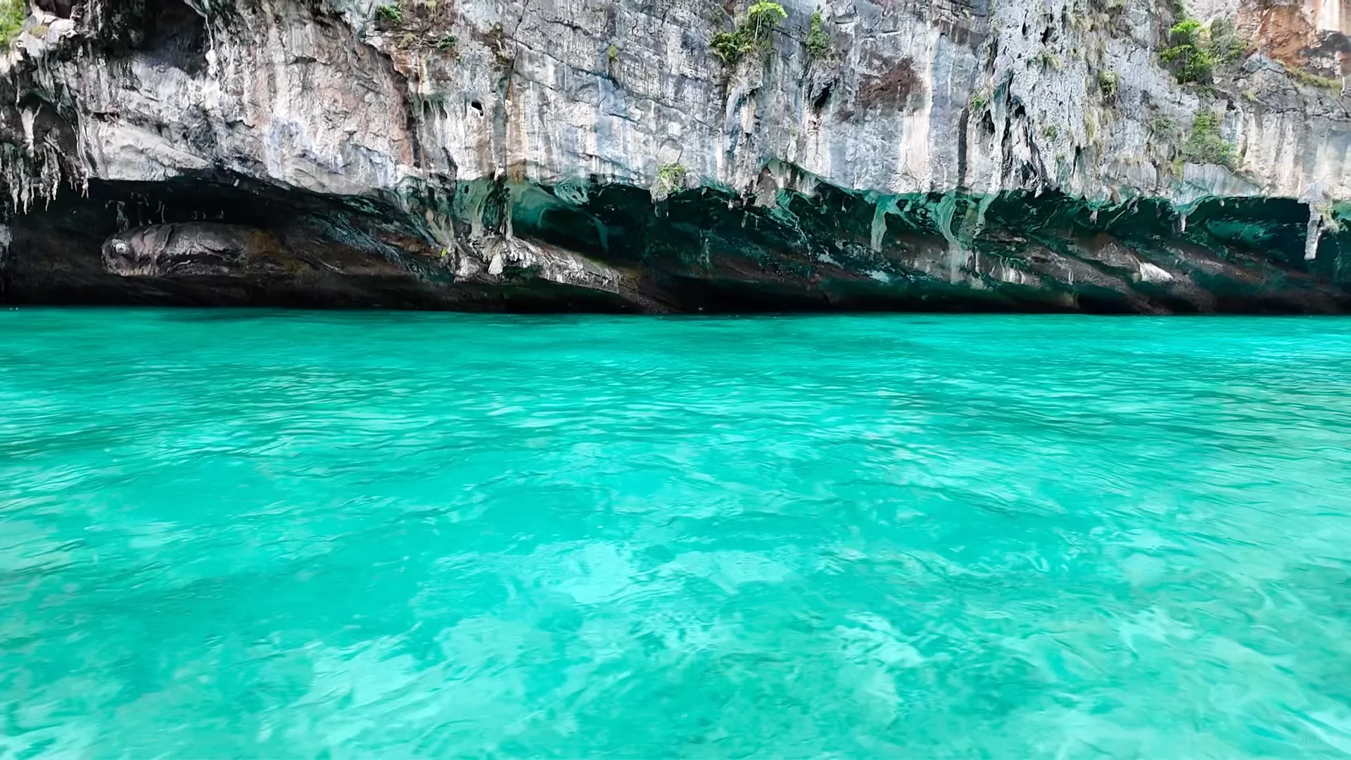是果冻海˚‧₊˚ 🩵