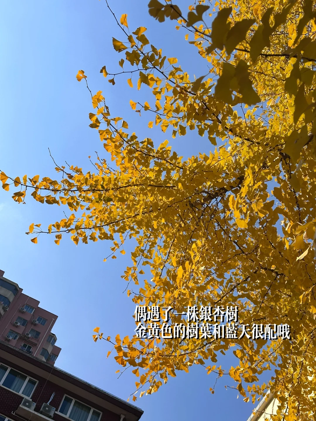 🌰感悟|40+女高管给30+职场女生的建议💖