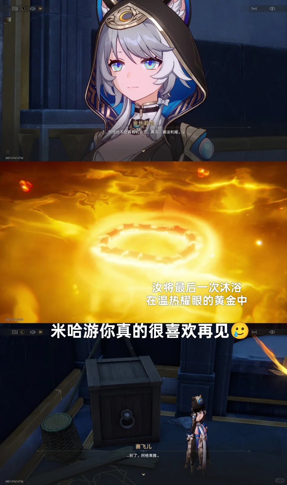 赛飞儿是绝世好猫😭😭