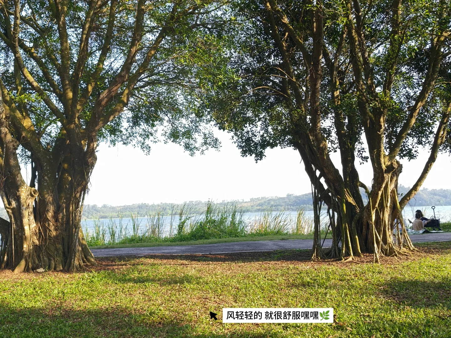 华师｜211女大没课都在干吗🐰