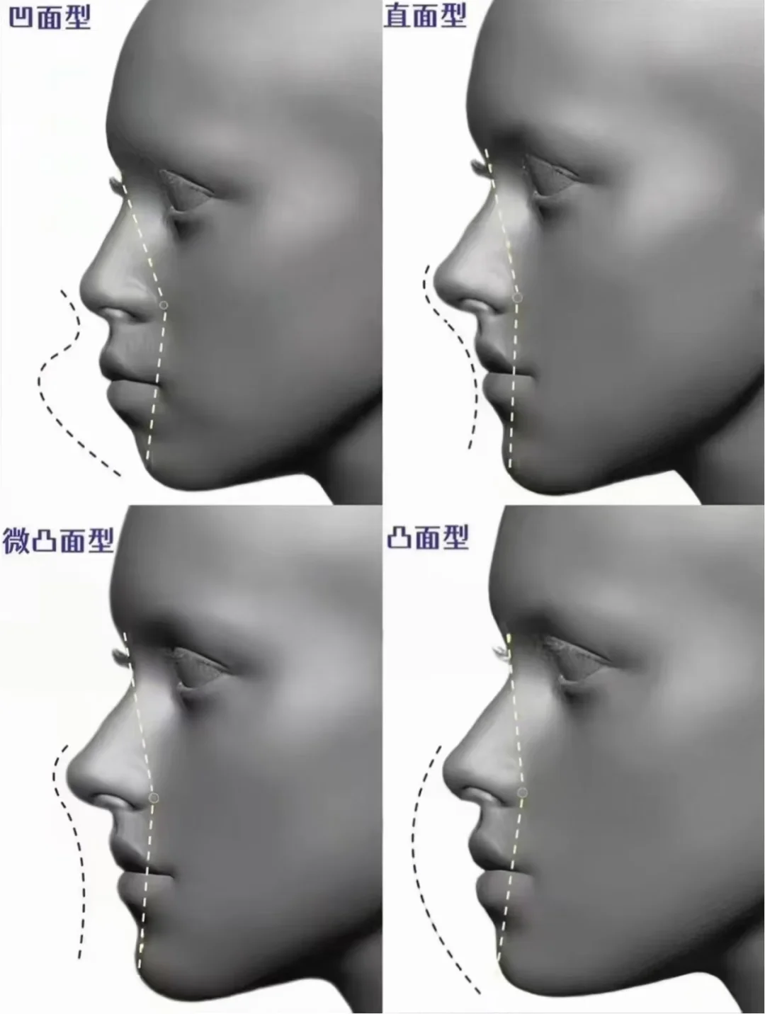 美美知识更新啦！啥样的鼻子适合自己呢？
