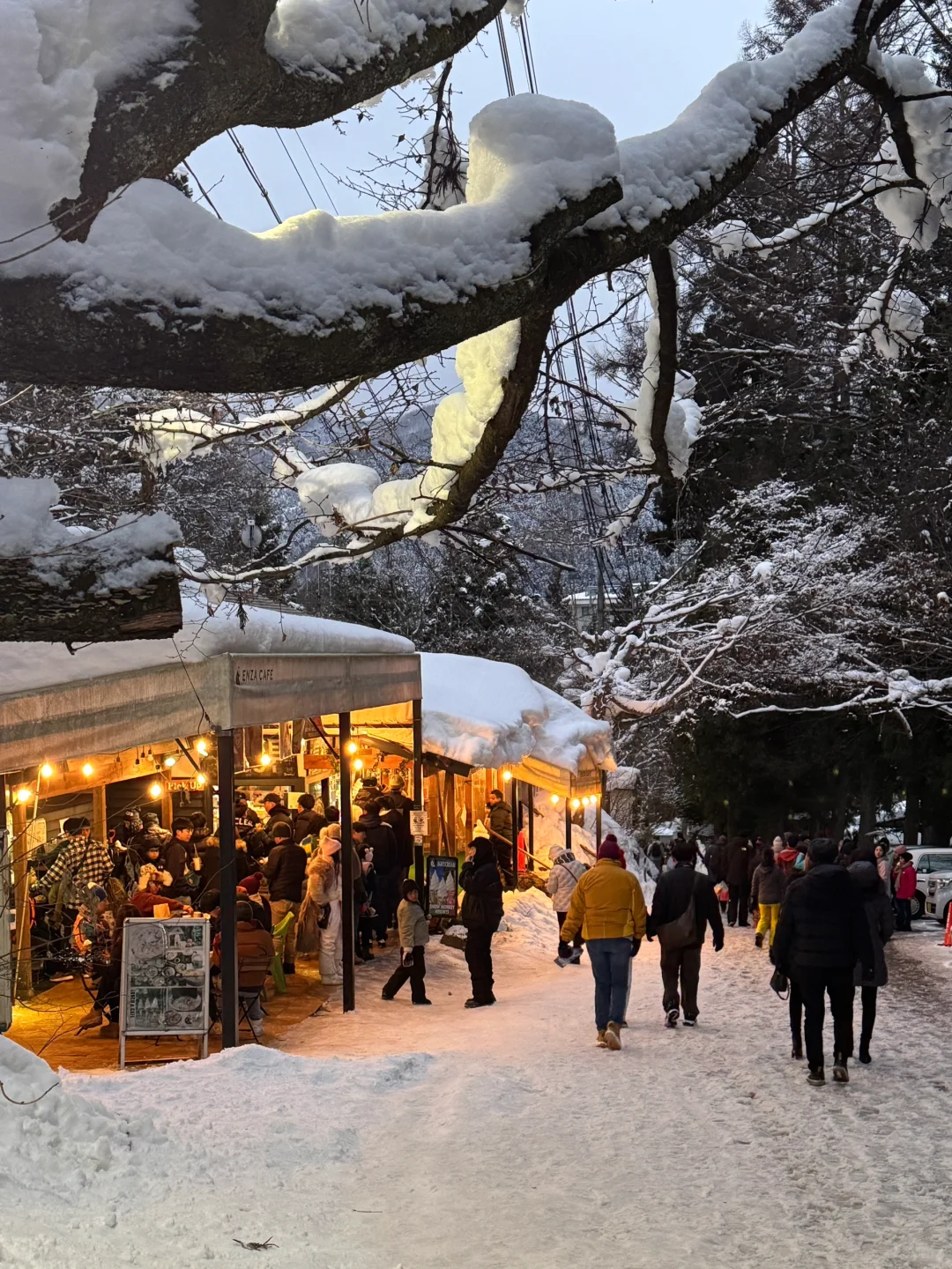 不输北海道的长野雪景❄️打卡户隐神社⛩️
