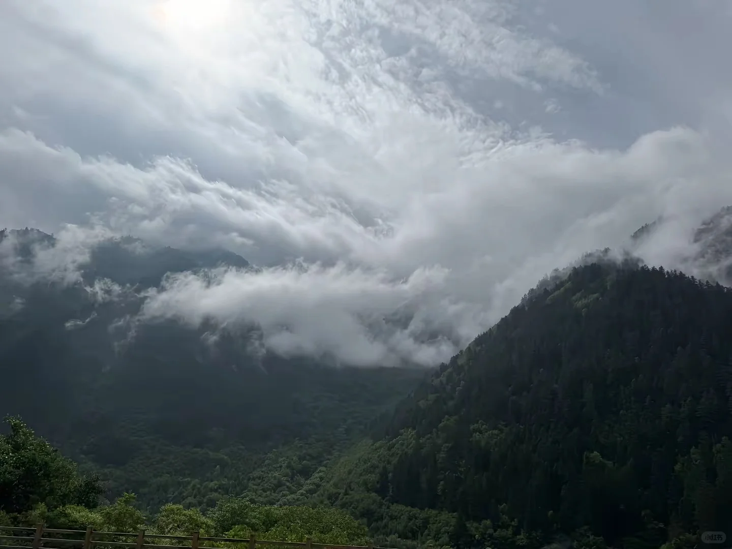 太爱自由了 爱困不住我的⛰️