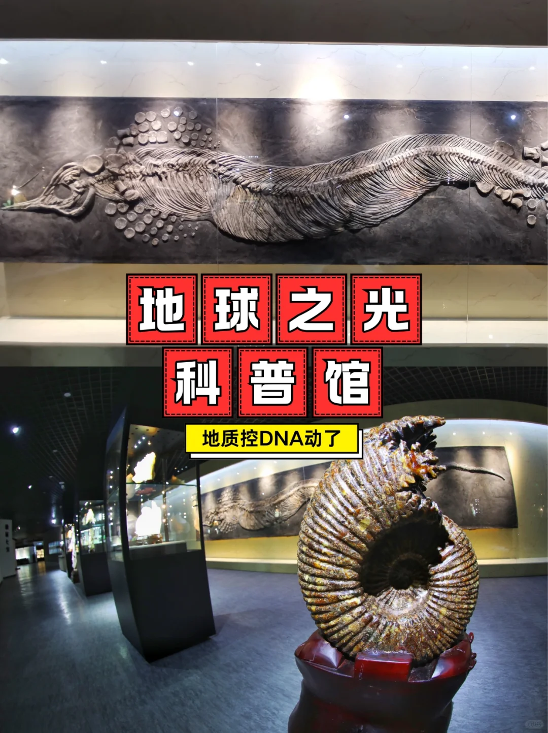 博物馆控狂喜！金石滩七馆遛娃研学全攻略