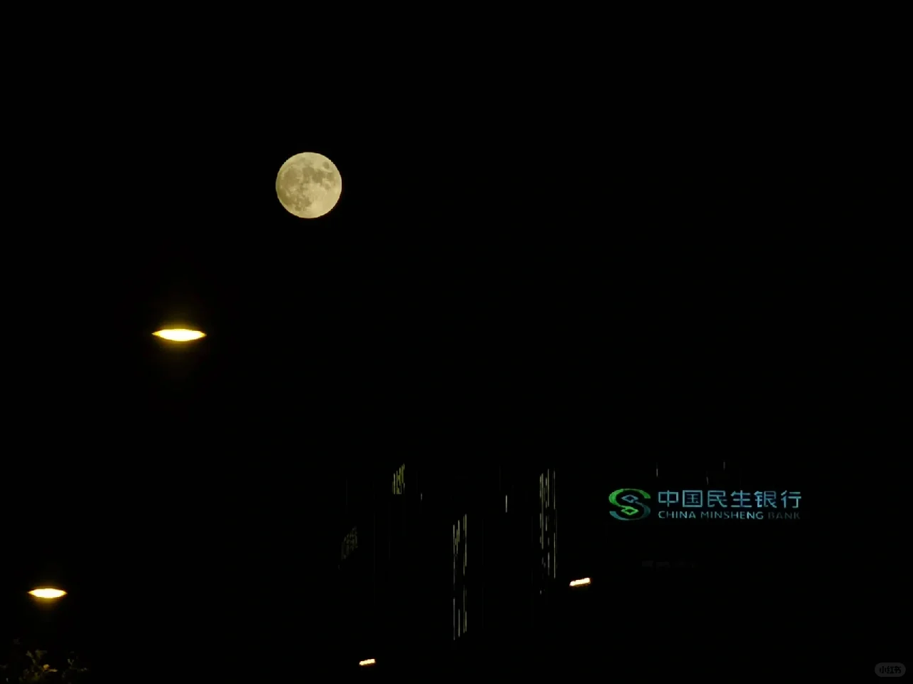请所有的女孩子，都要为自己绽放