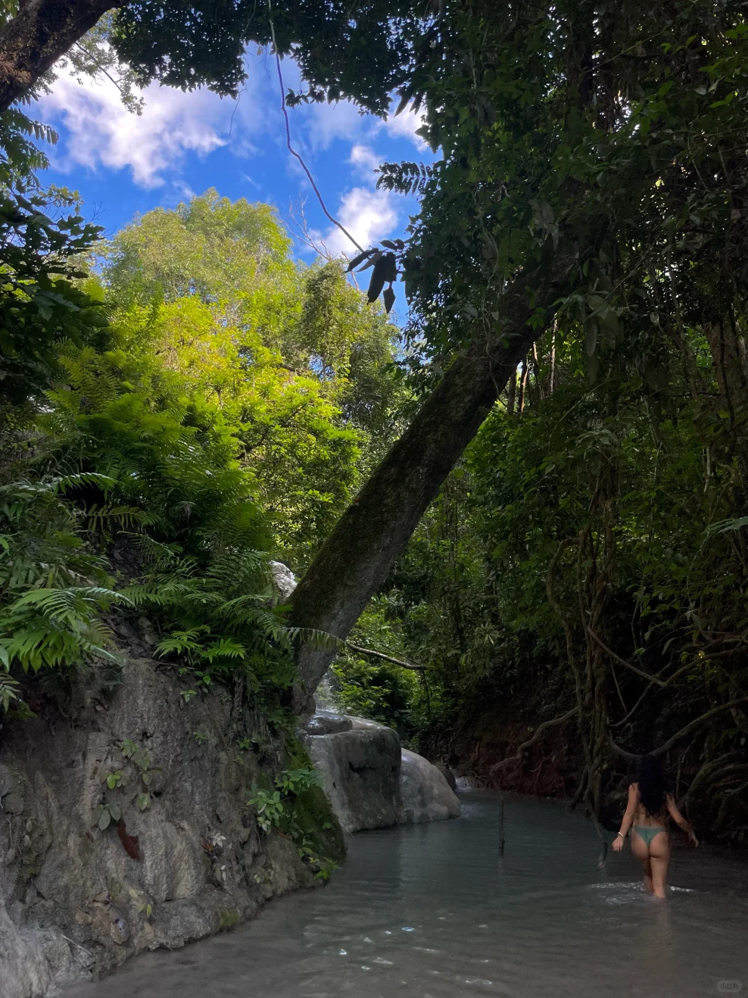 🇹🇭在清迈的森林里