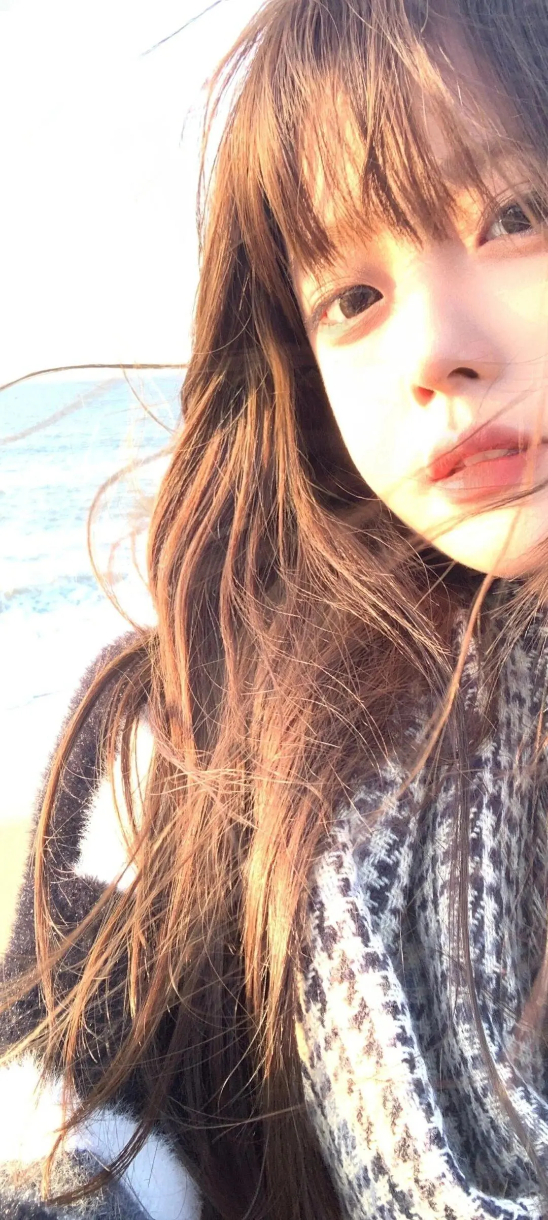 氛围感景深壁纸