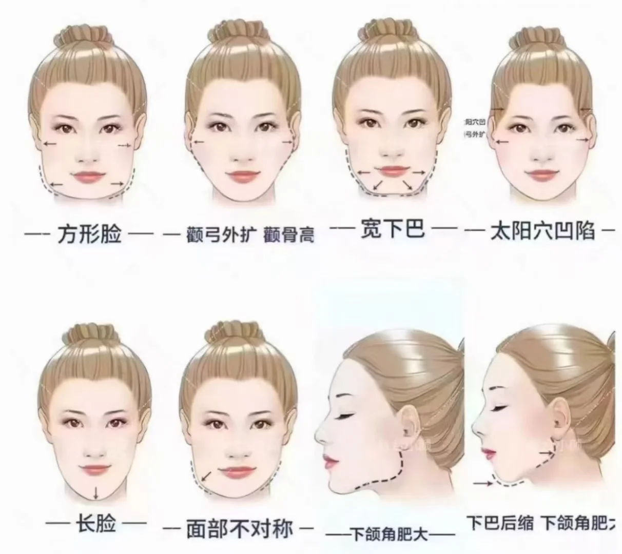 为什么说美人在骨不在皮