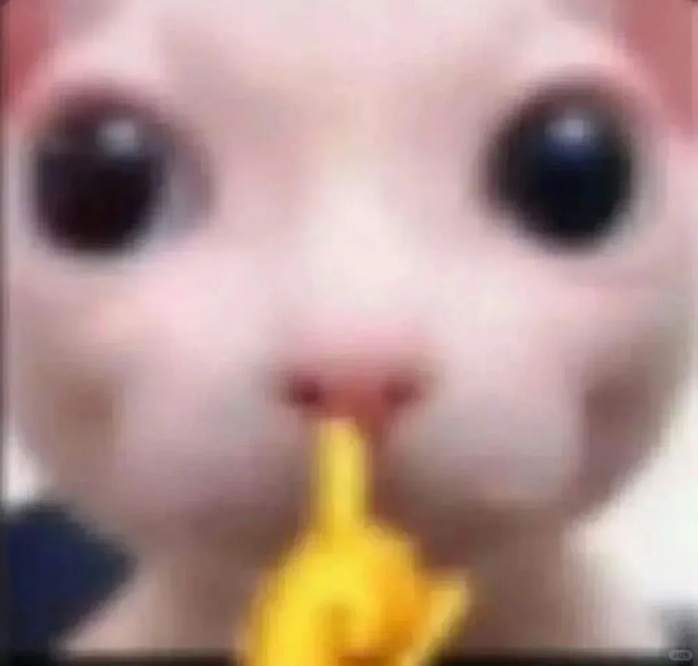 好喜欢丑猫表情包