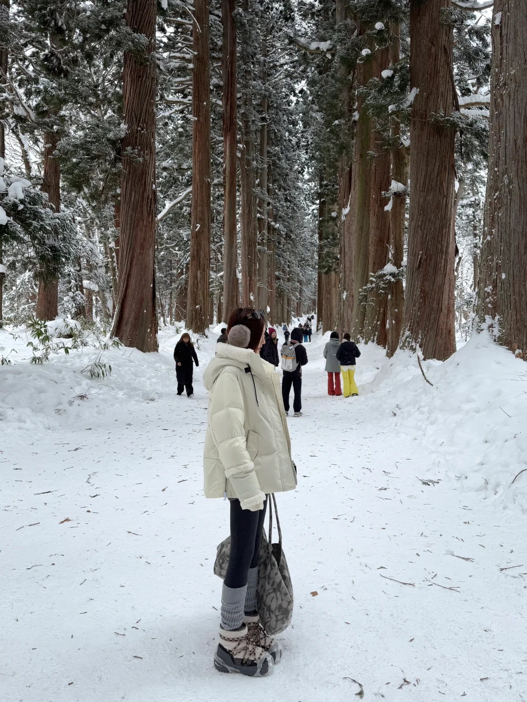 不输北海道的长野雪景❄️打卡户隐神社⛩️