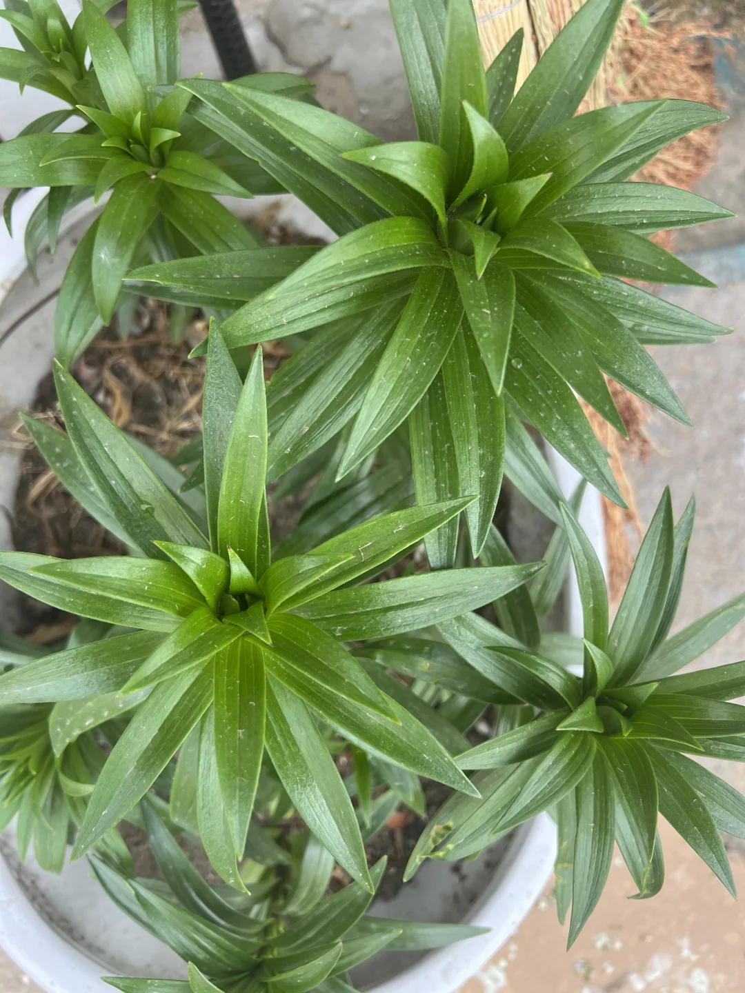 35岁时刻提醒自己做个美女