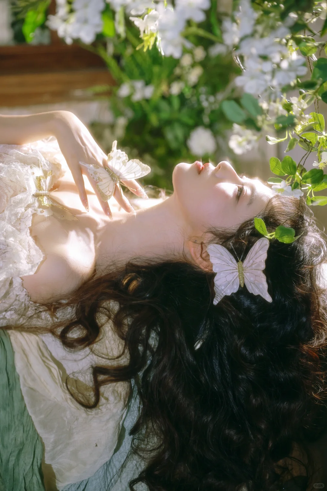 ✨踏入森境仙踪 花房里的蝴蝶少女🦋