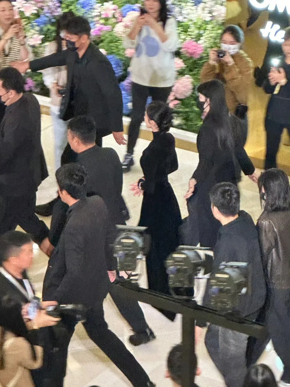 刘诗诗：生图下的大美女文字：近日，