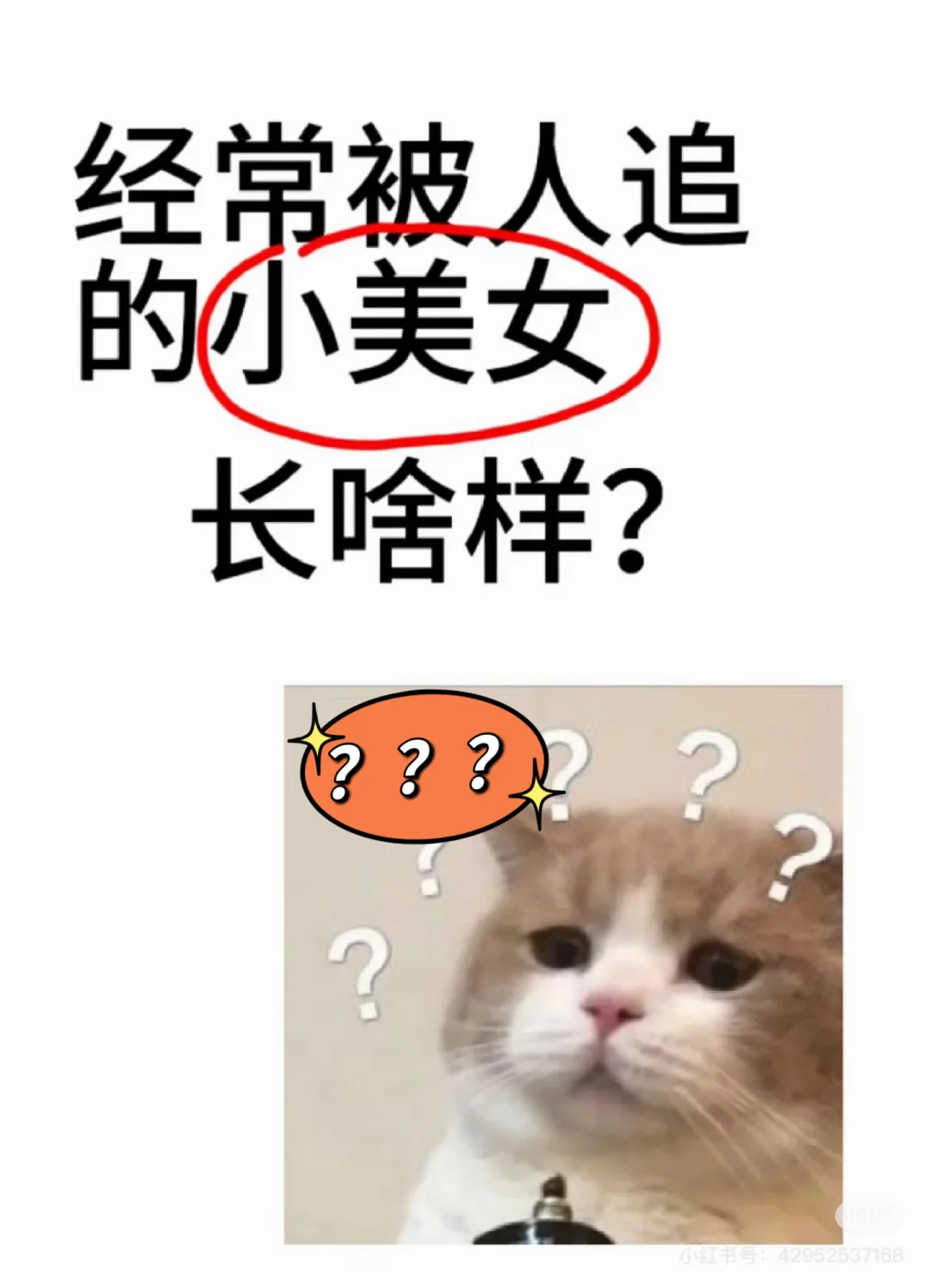 好奇经常被人追的小美的女生长啥样？
