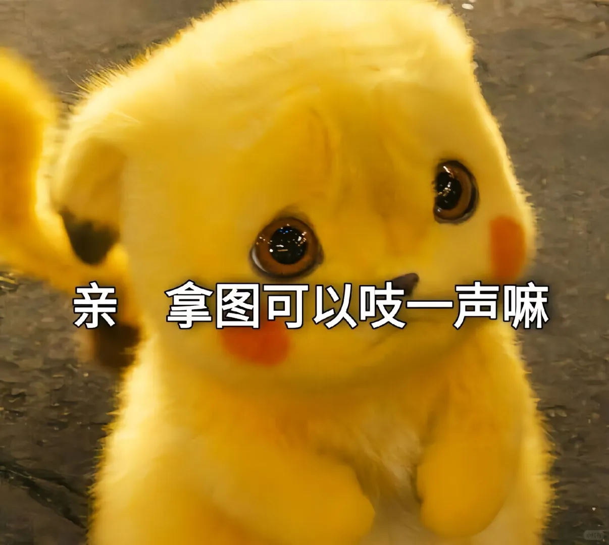 8K超清壁纸，高清壁纸，美女壁纸