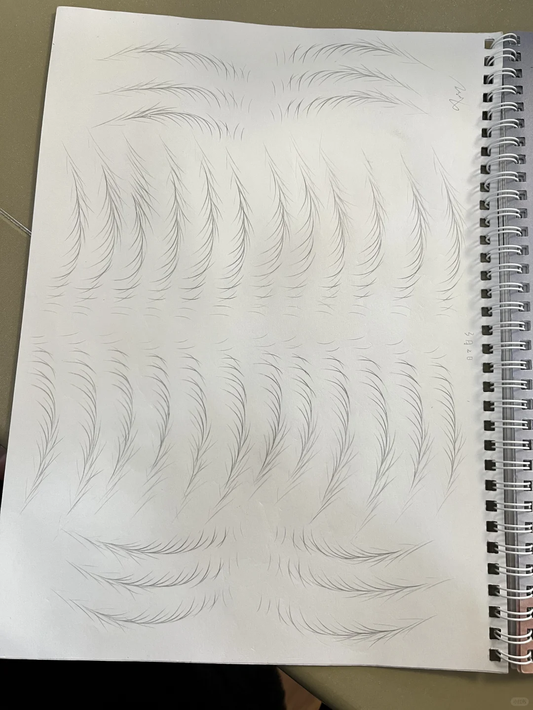线条自学打卡第八天