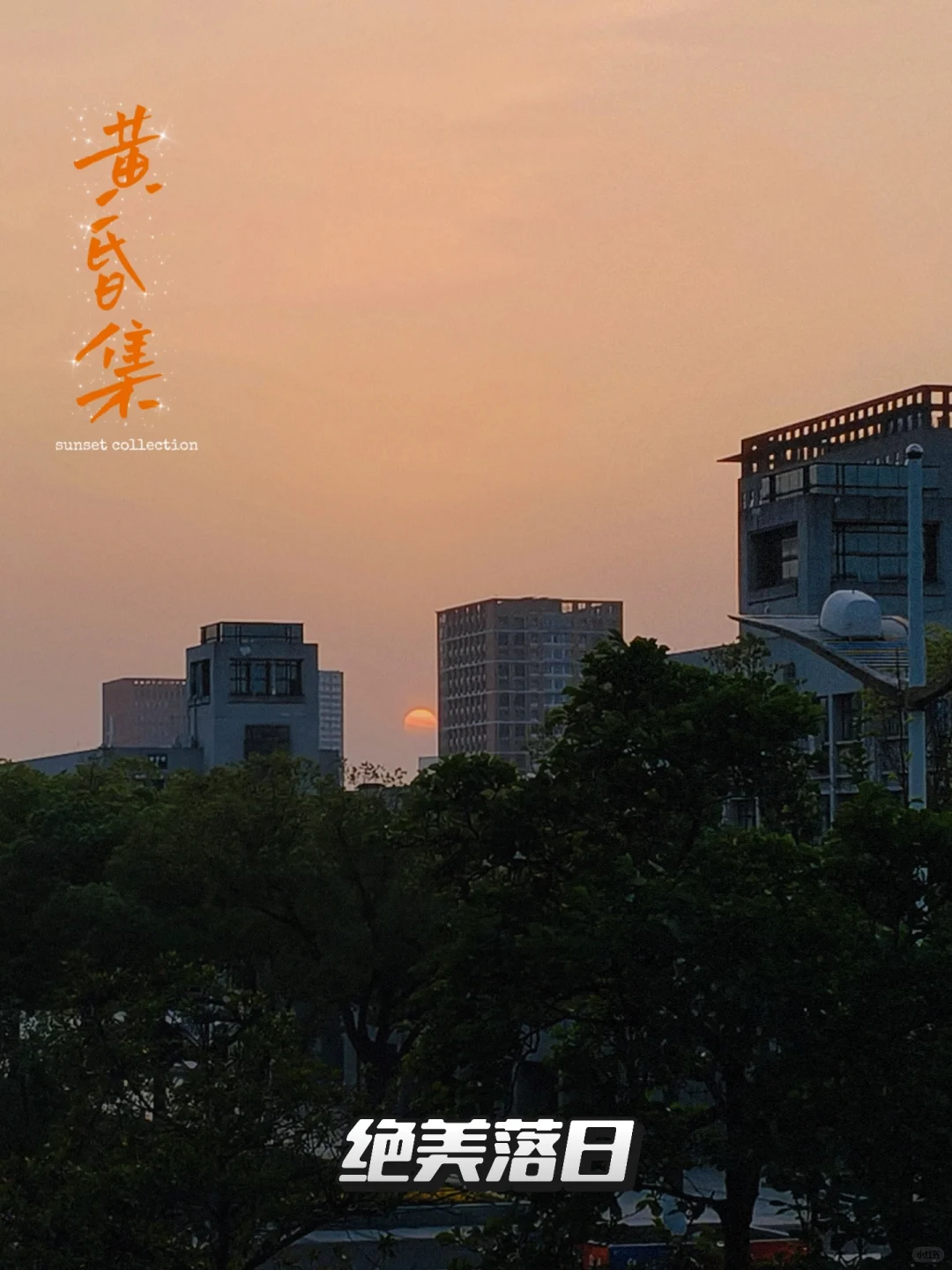 plog女大学生勇闯互联网第一弹
