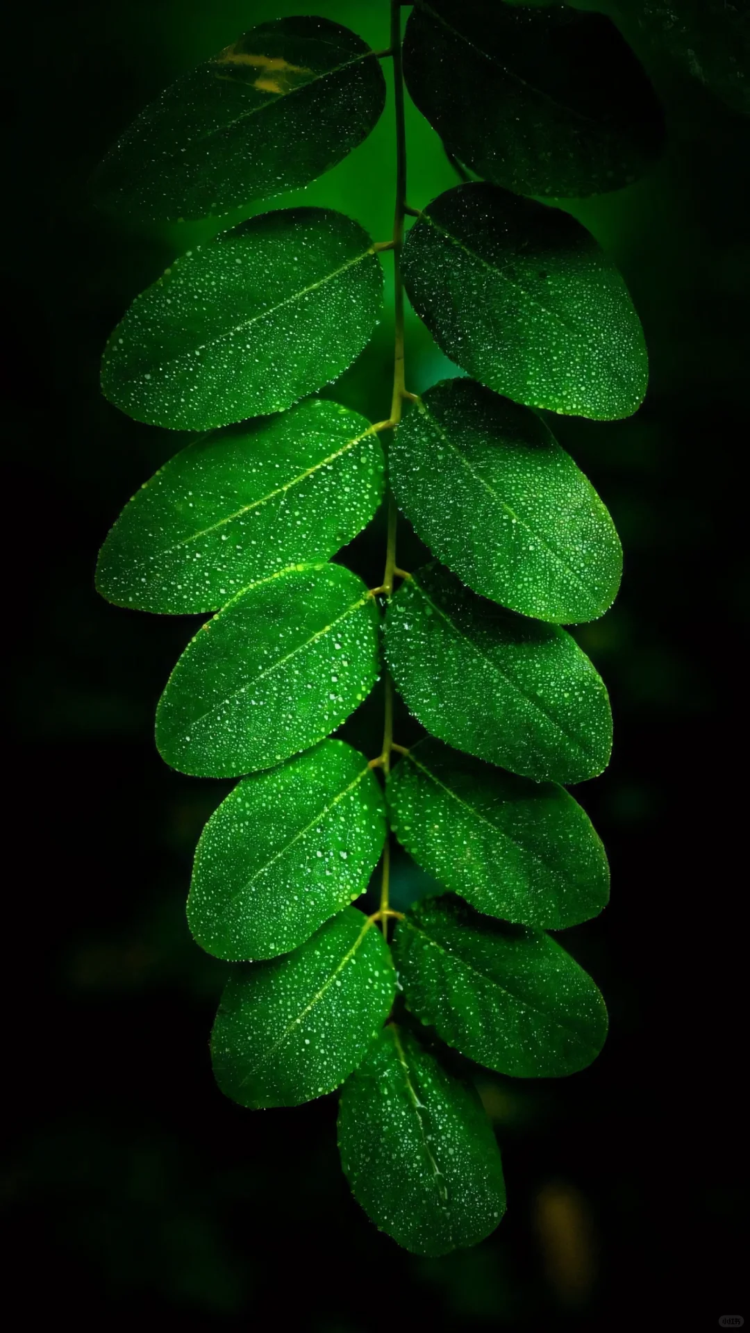 ✨️ins壁纸｜8k超清简约高级感壁纸