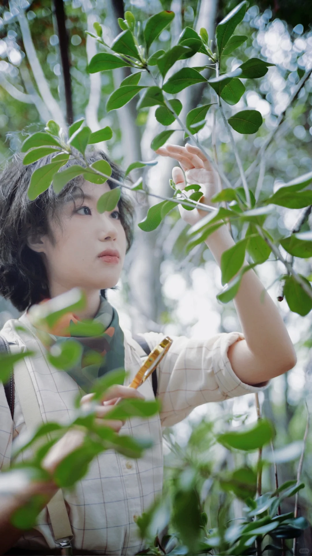 🌱请注意与自然保持一米以内间距