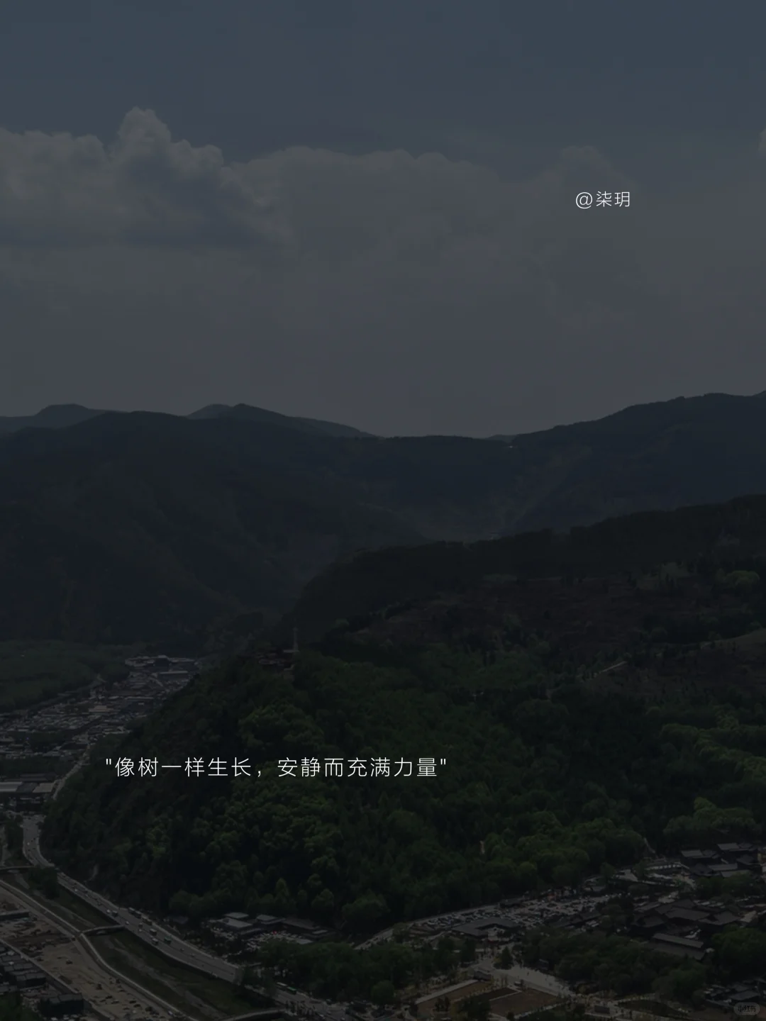 不争不扰的岁月里，藏着女人高级的活法