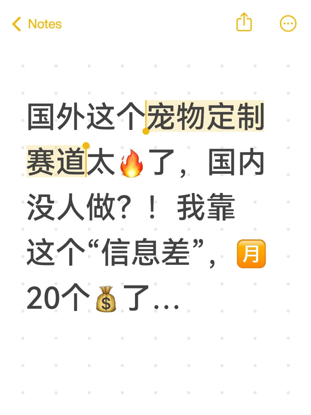 做国外爆🔥的宠物定制，真的太爽了❗