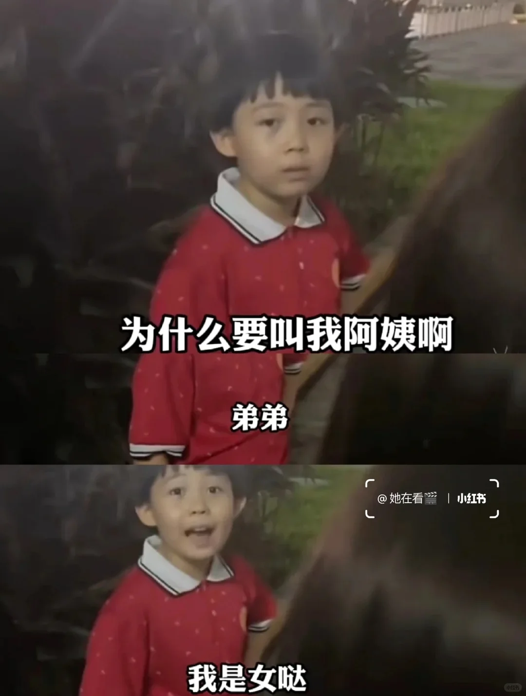 和未经规训的自然女宝学说话艺术