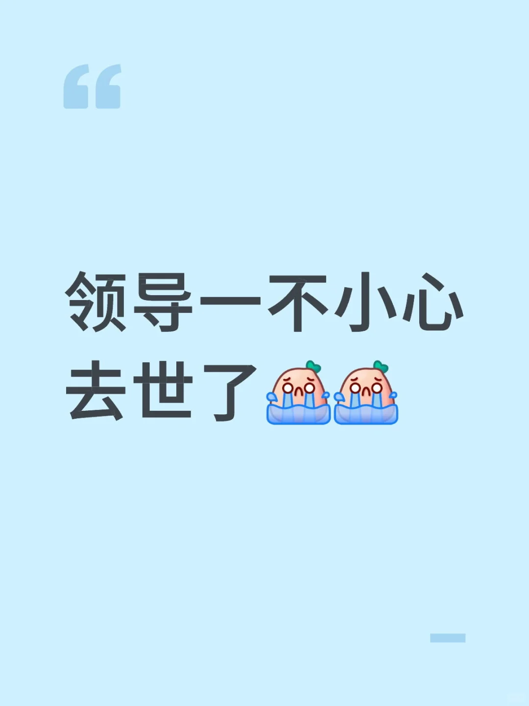 领导一不小心去世了