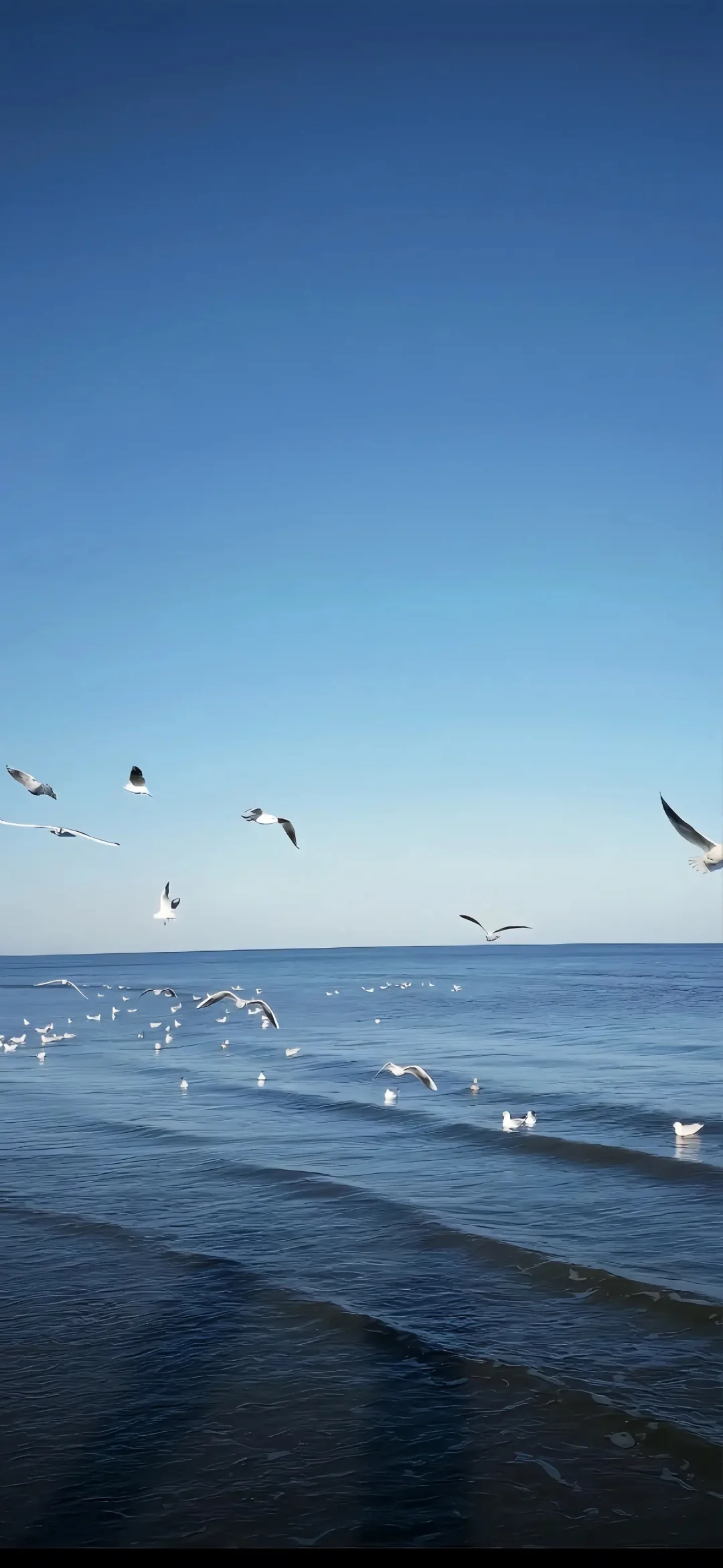 海边治愈系风景全屏壁纸