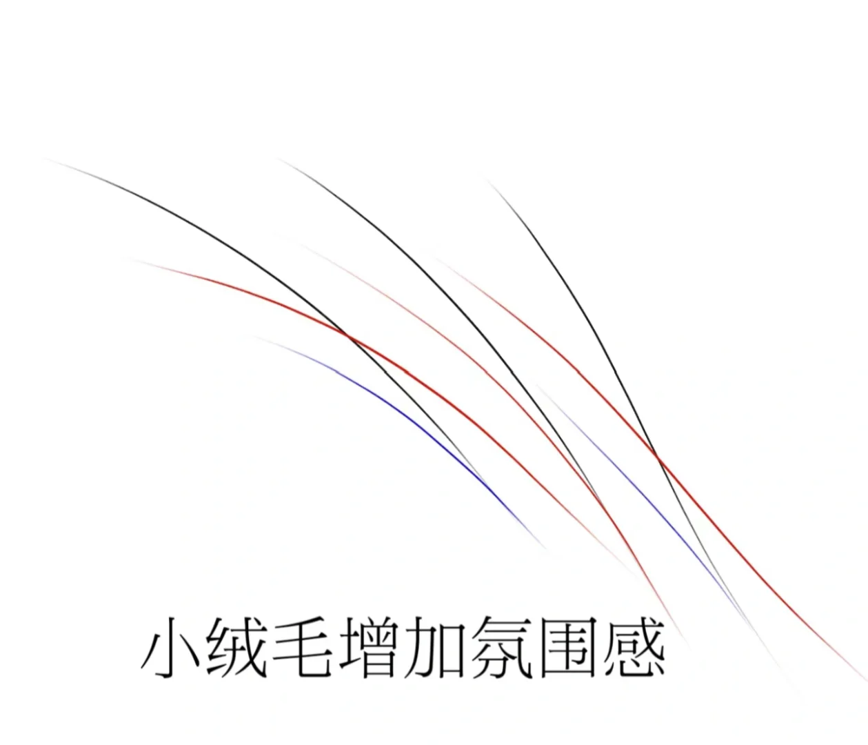野生眉分解图