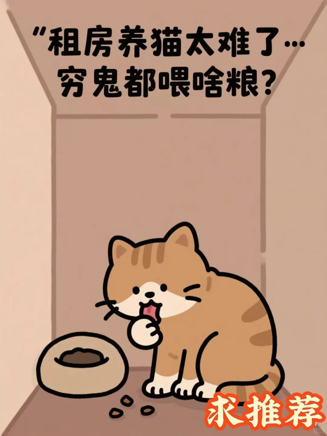 租房养猫太难了… 穷鬼都喂啥粮？🏠