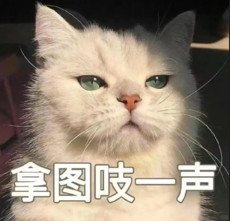 敲可爱的小清新壁纸