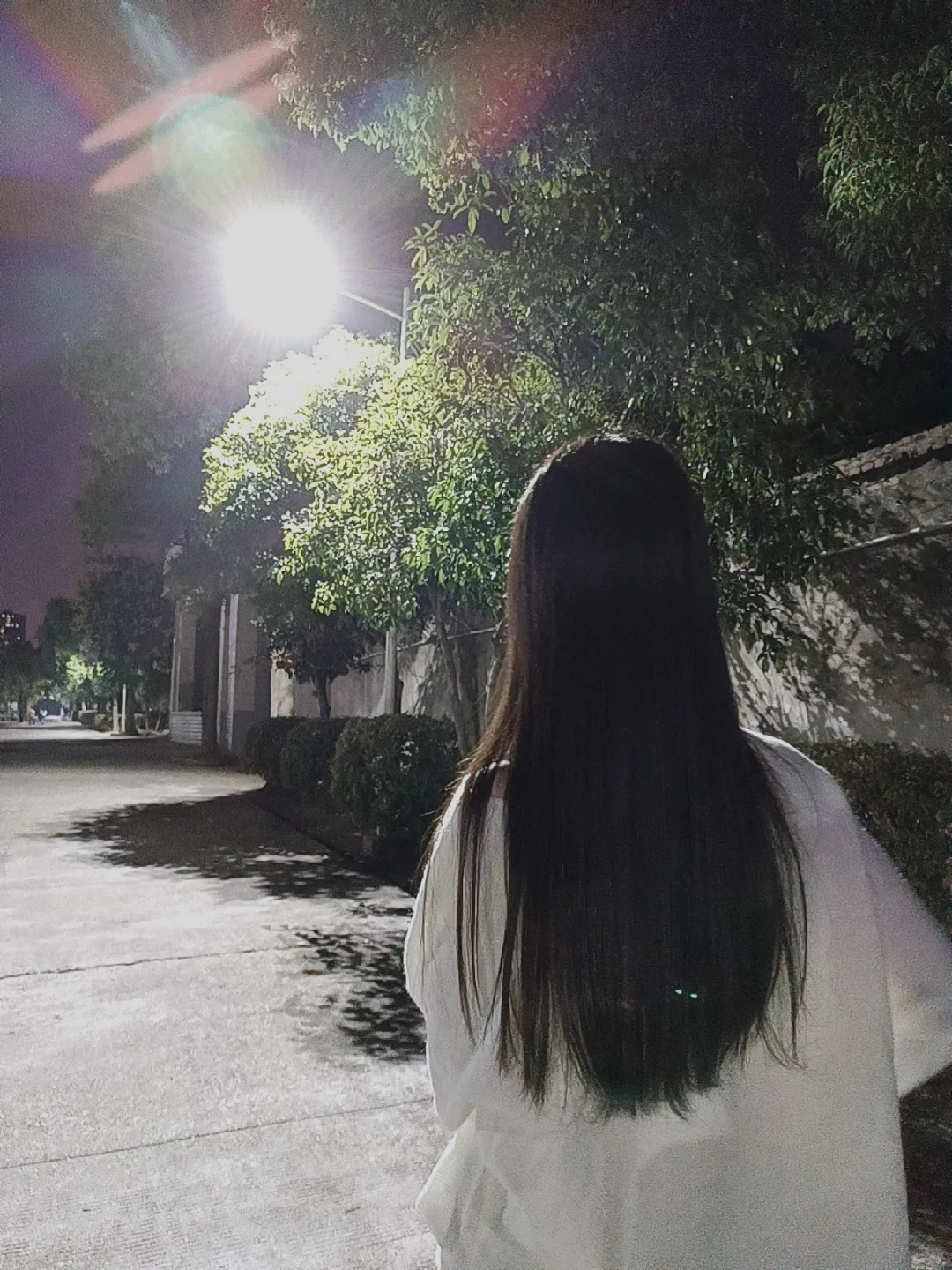 黑长直我的最爱