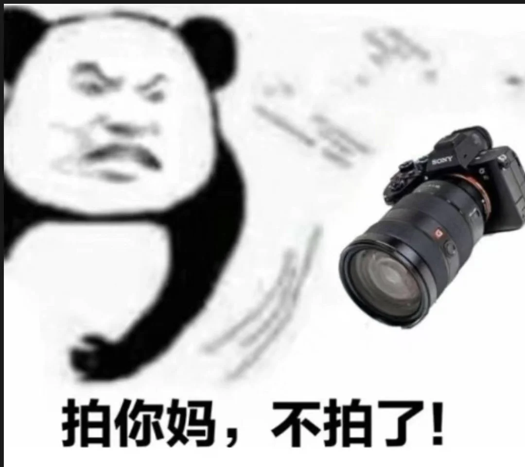 摄影现状……