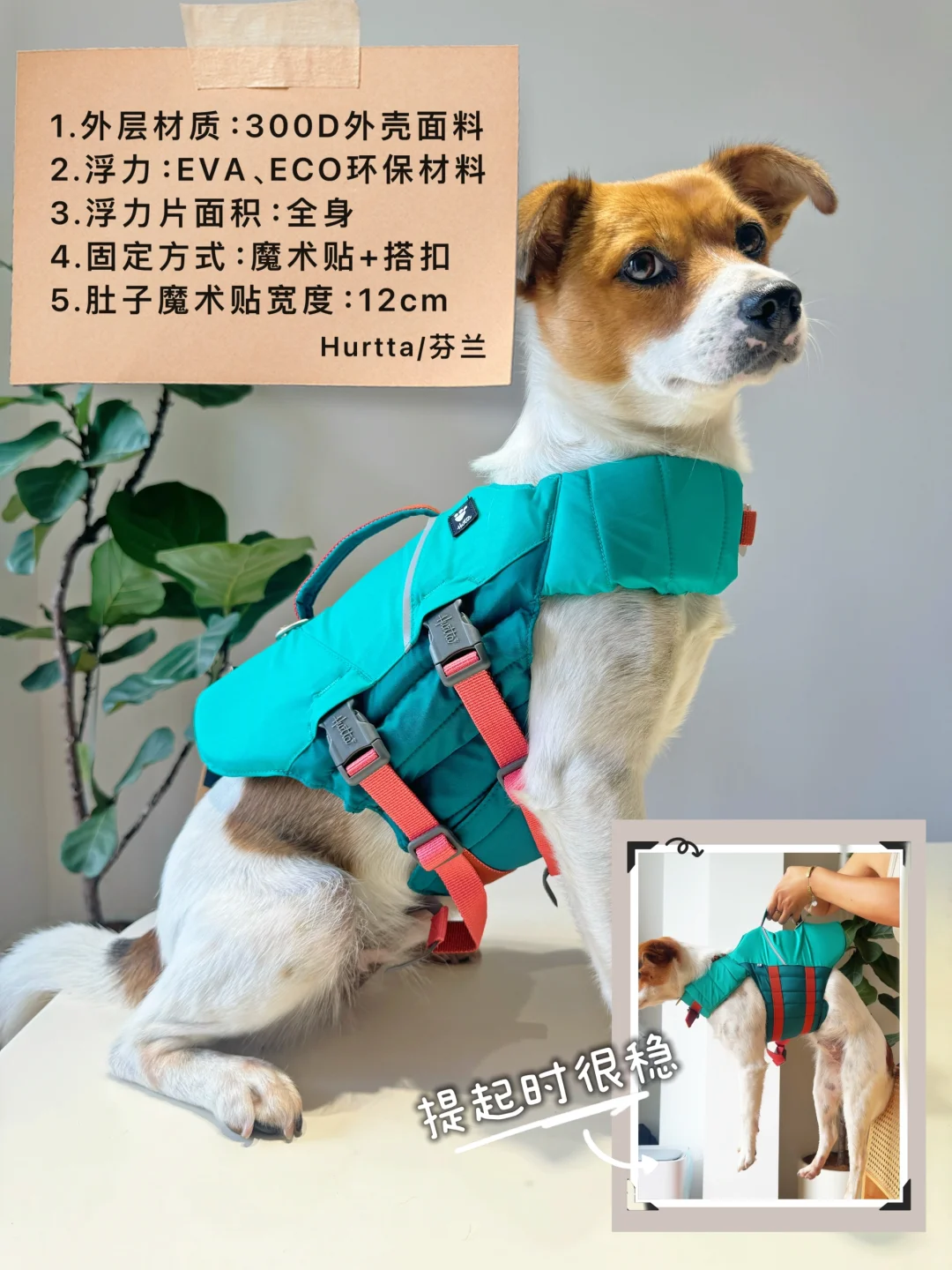 6 dog life jackets |6款狗泳衣对比